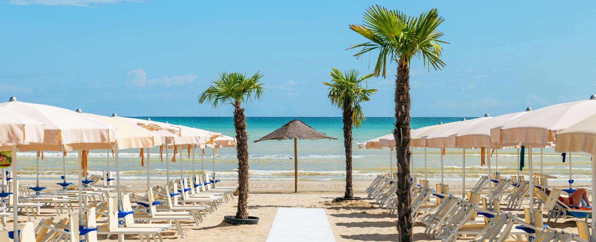 Beach with umbrellas, sunbeds, and palm trees, view of the blue sea.